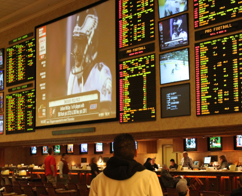 Open Physical Sports Book